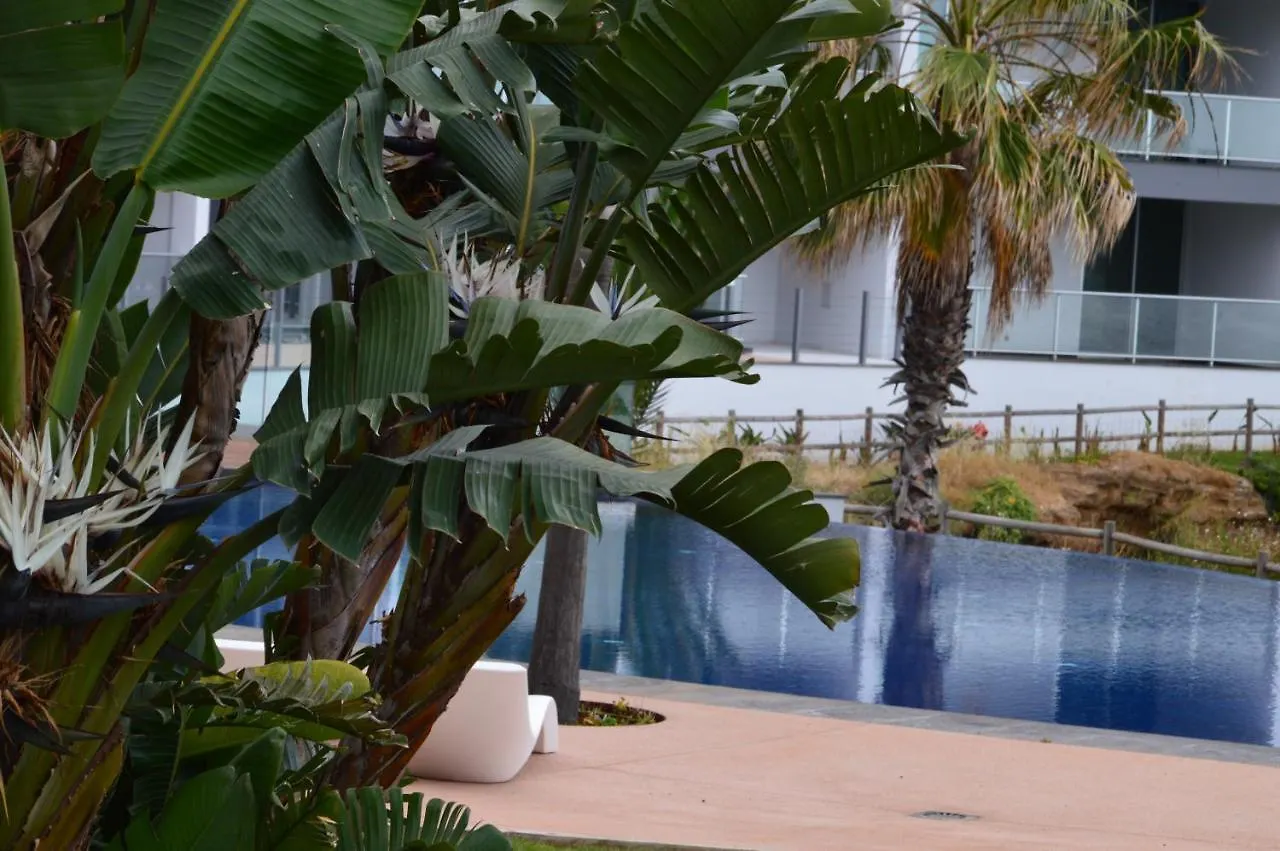 Peaceful Madeira Palace Funchal  Apartamento
