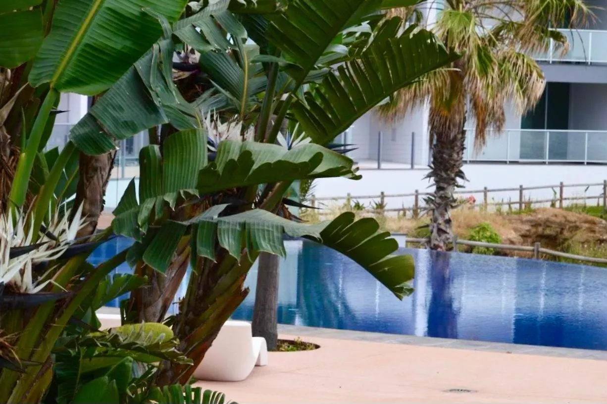 Peaceful Madeira Palace Funchal